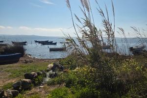 Terreno fronte mare