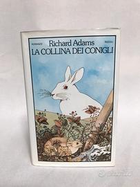 La collina dei conigli