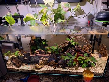 acquario 40 litri
