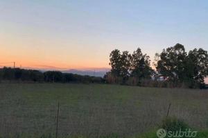Terreno agricolo loc. "Terramaini" Santa Maria UTA