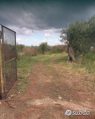 Terreno a Spartà rif. GIH-5021