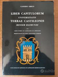 Liber Capitulorum universitatis Terrae Castileonis