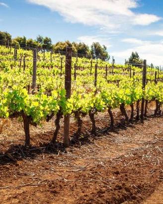 Esenta di Lonato del Garda Lotto Edificabile - Zon