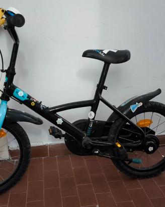 Bicicletta azzurra