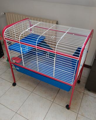gabbia per roditori