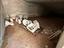 Immagine 4