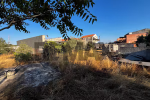 Terreno Edificabile - Camporotondo Etneo