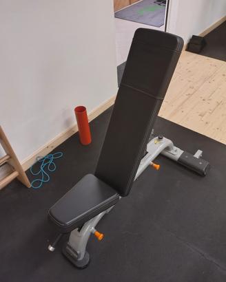 panca reclinabile precor + rack