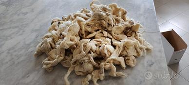 Pura Lana di Pecora Lavata x materassi e cuscini 