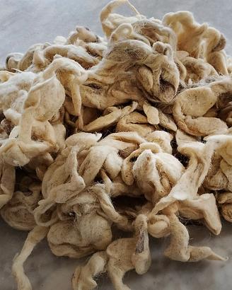 Pura Lana di Pecora Lavata x materassi e cuscini 