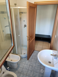 Luminoso appartamento