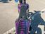 Immagine 6