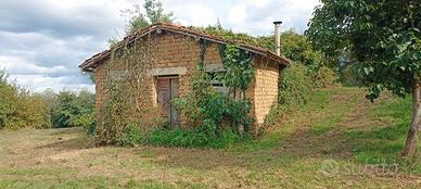 Terreno Agricolo Panoramico di ca. 4,5 ettari