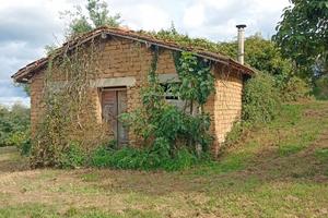 Terreno Agricolo Panoramico di ca. 4,5 ettari