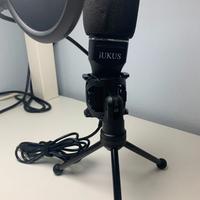 Microfono professionale con stand e filtro anti-po