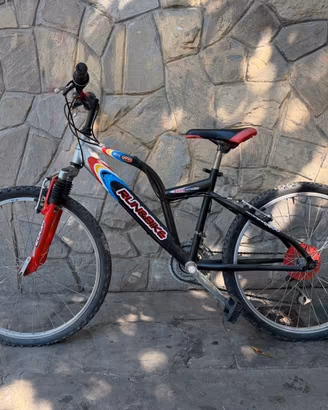 Bici MTB 24
