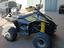 Immagine 4