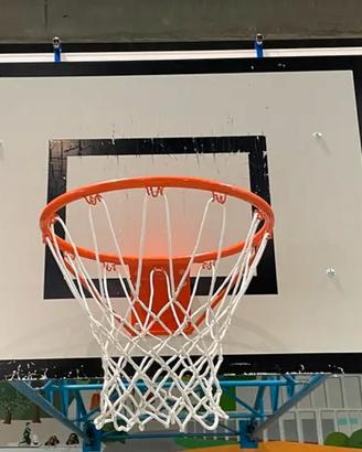 Canestri da basket