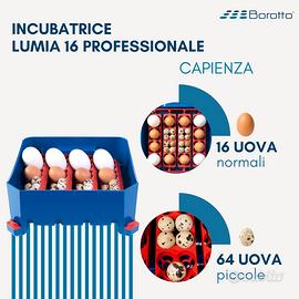 Borotto Lumia 16 Automatica - Incubatrice Professi - Elettrodomestici In  vendita a Torino