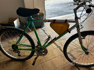 Bicicletta da uomo