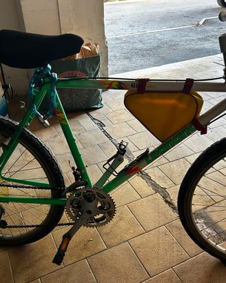 Bicicletta da uomo