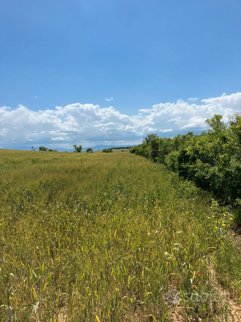 Terreno agricolo - Vista 3