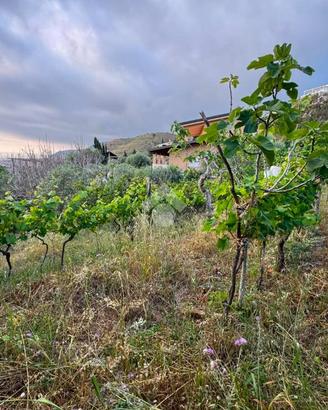 TER. RESIDENZIALE A AMANTEA