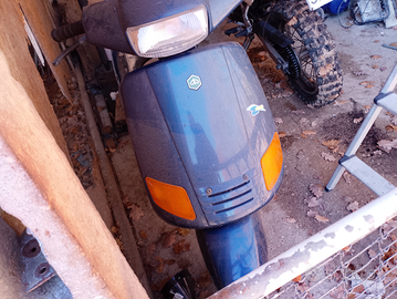 Piaggio zip nuovo asi