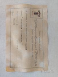 Paesaggio di montagna. E. Gaudio 