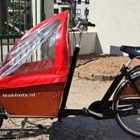 Bici cargo, può trasportare 2 bimbi