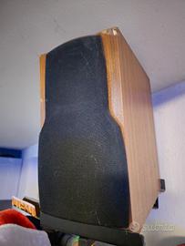 Chario silhouette 100