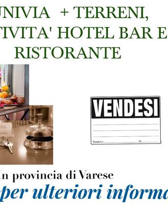 258/26 FUNIVIA + ATTIVITA' E TERRENI di mq 60.000