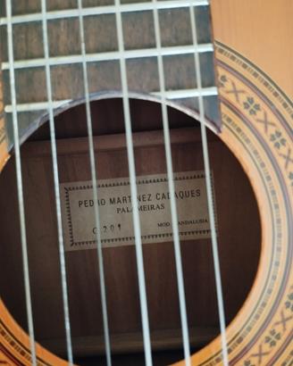 chitarra