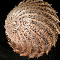 Plafoniera in vetro di Murano con polvere oro