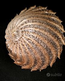 Plafoniera in vetro di Murano con polvere oro