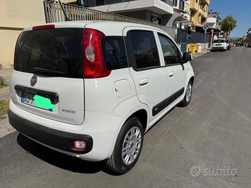panda hybrid 2022