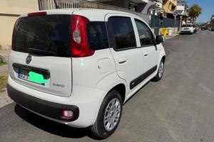 panda hybrid 2022