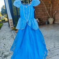 Vestito di Cenerentola 