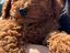 Immagine 6
