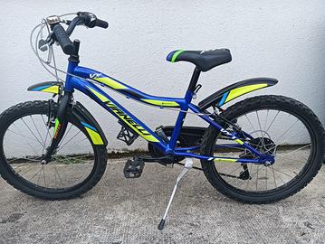 Bicicletta da bambino Vianelli