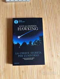 La chiave segreta per l’umiverso - Lucy e Stephen