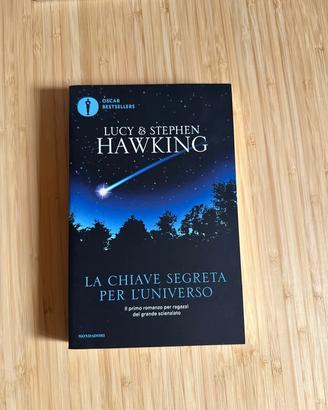 La chiave segreta per l’umiverso - Lucy e Stephen