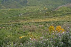 terreno agricolo 