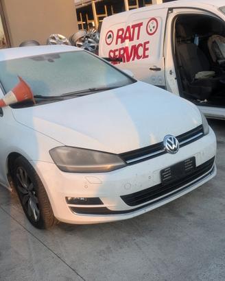 VOLKSWAGEN GOLF dal 2012 1.6 TDI