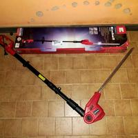 Taglia siepe elettrico con asta telescopica