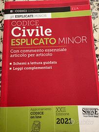Codice civile esplicato