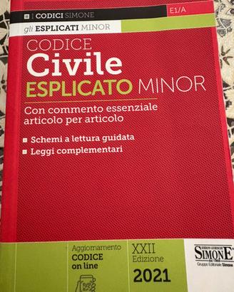 Codice civile esplicato