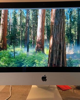 Imac 21,5 pollici 2019