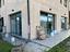 Immagine 7