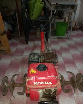 Motocoltivatore professionale honda